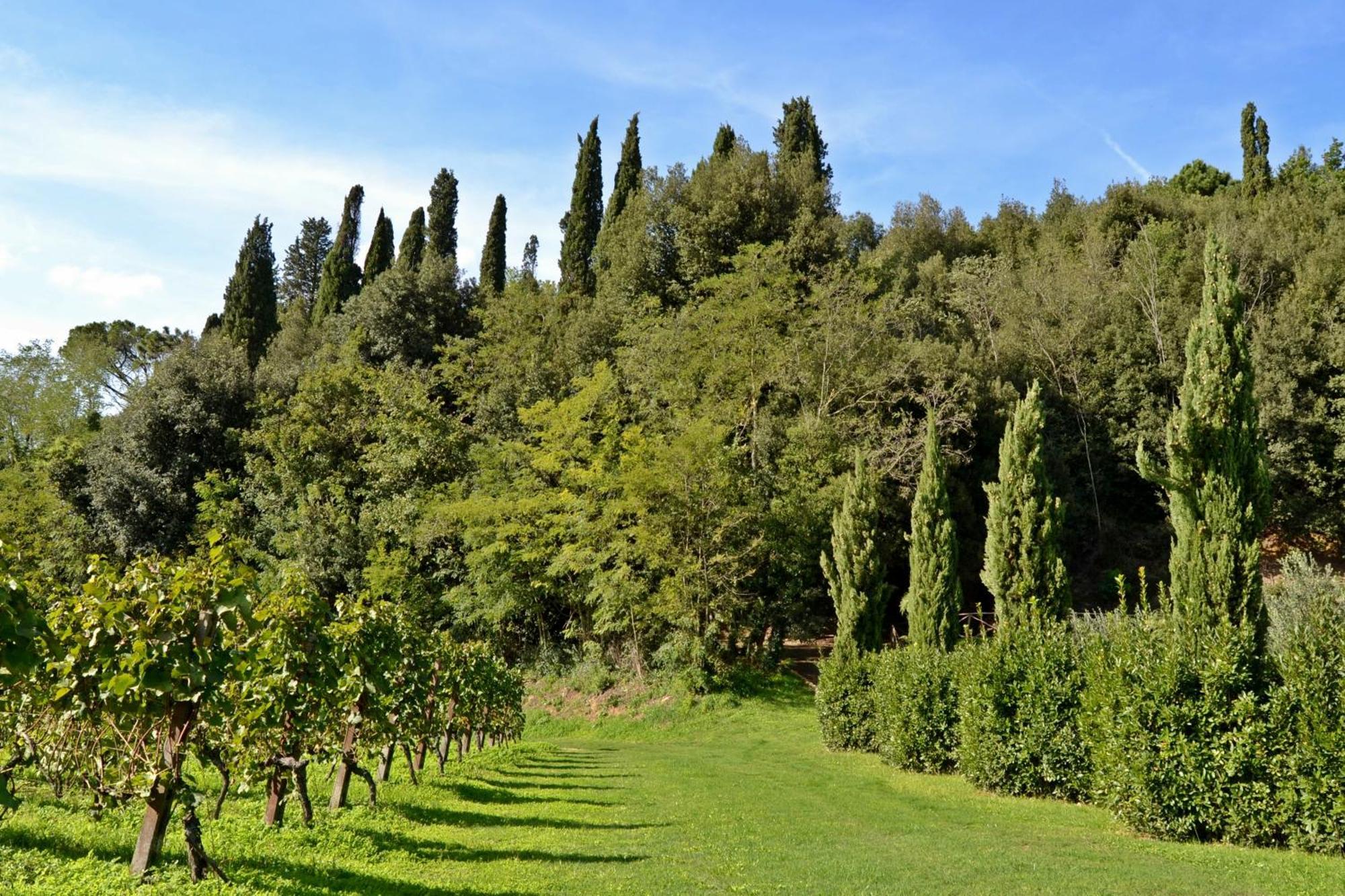 Cevoli Country Resort Lari Exterior photo