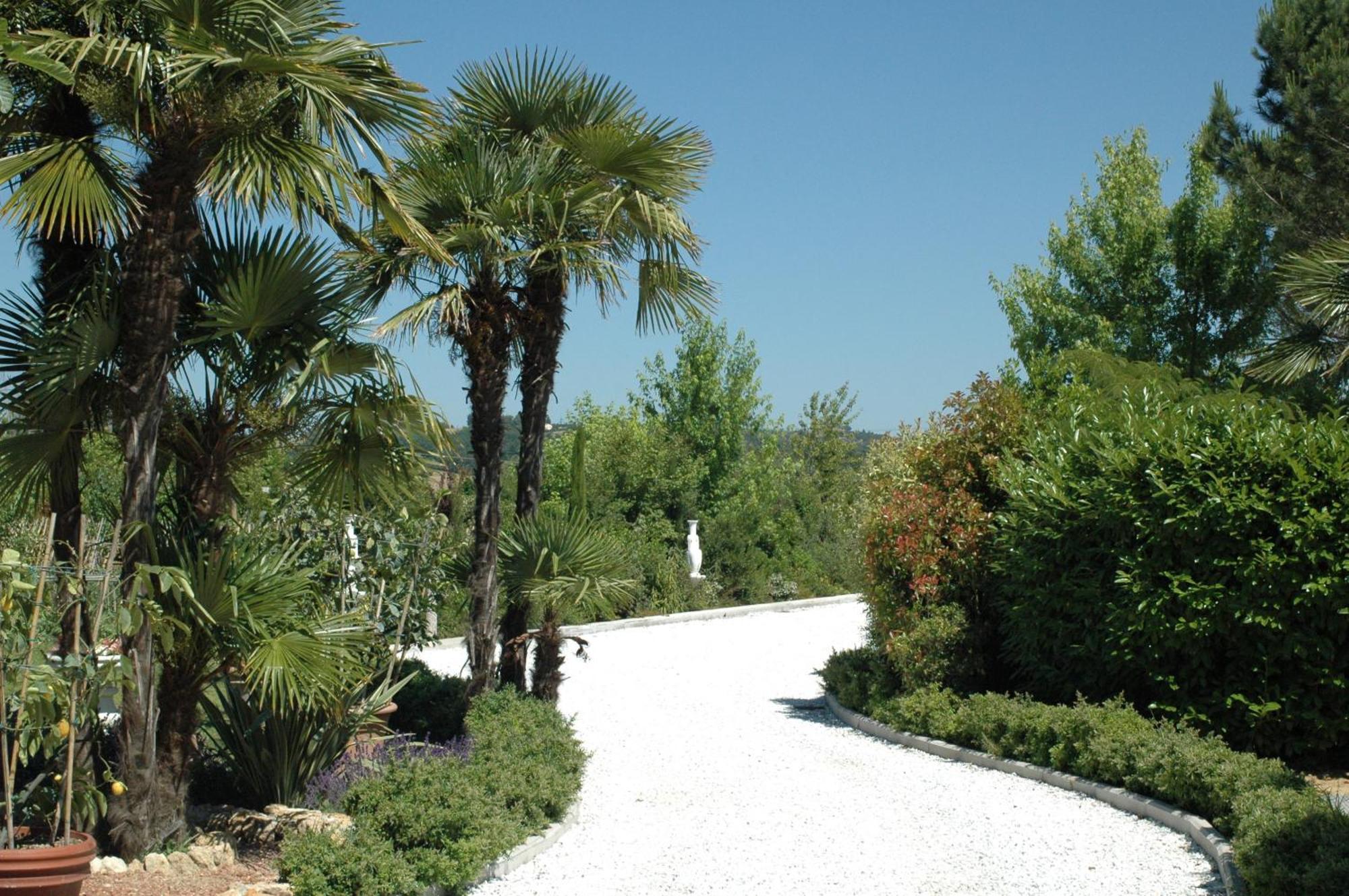 Cevoli Country Resort Lari Exterior photo