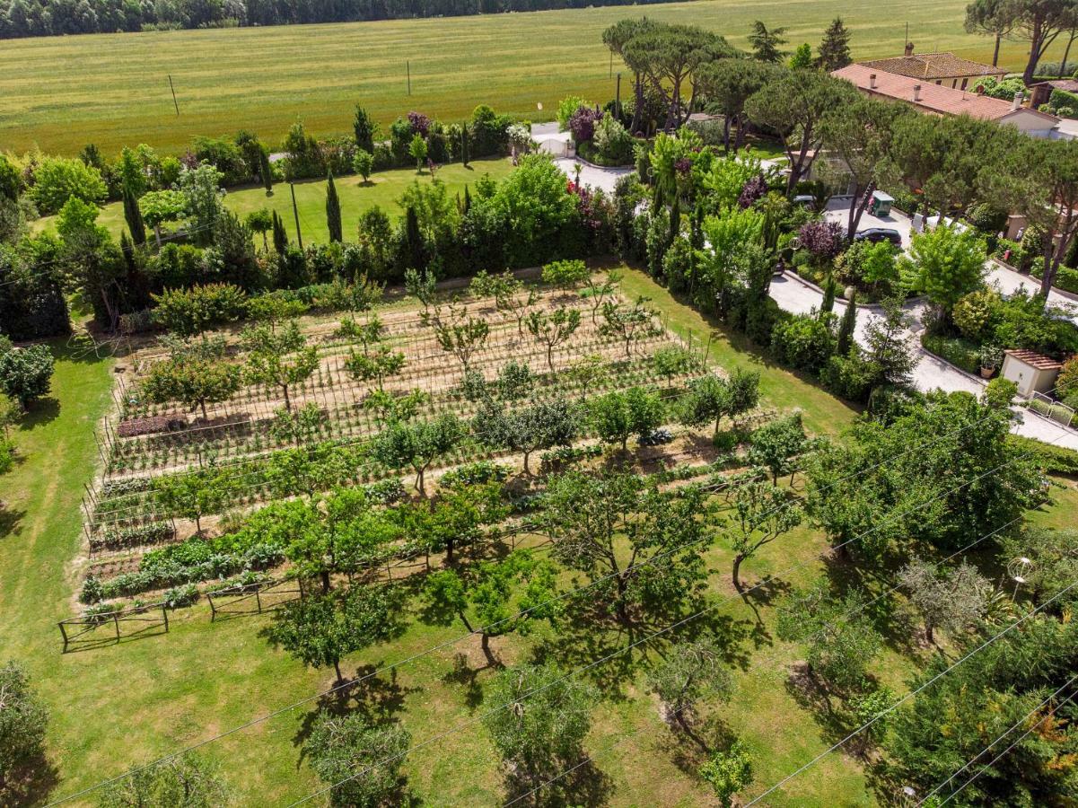 Cevoli Country Resort Lari Exterior photo